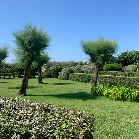 Vittoria Immobilier 4-Reglement Sur Place -Cheques Vacances Acceptes La Grande Motte Extérieur photo